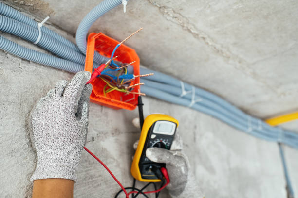 Best Best Electricians Near Me  in East Lake Orient Park, FL